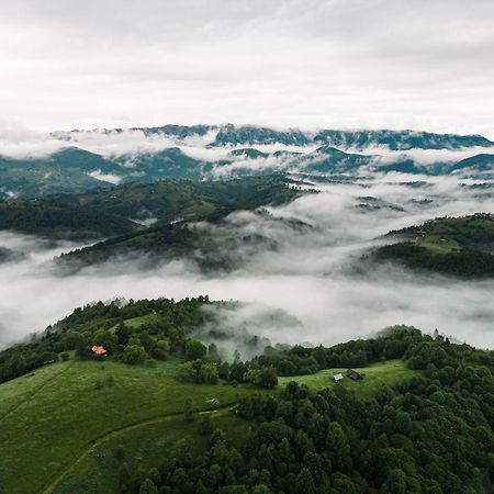Stockestate Moieciu Villa Moieciu de Jos Bagian luar foto